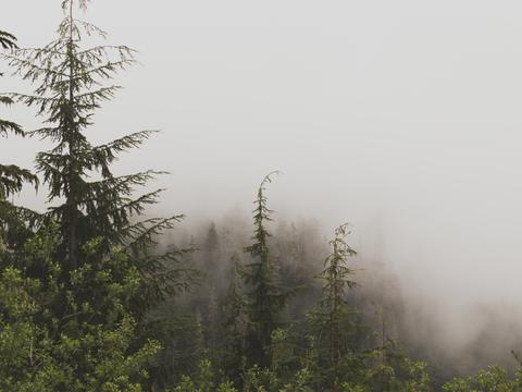 Misty Mountains